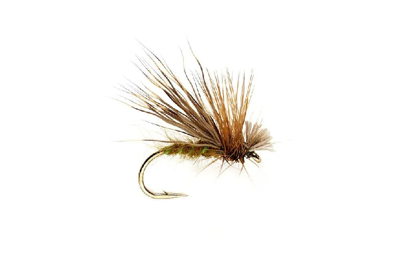 Fishing hook honing stone-OLIVE DROP SEDGE