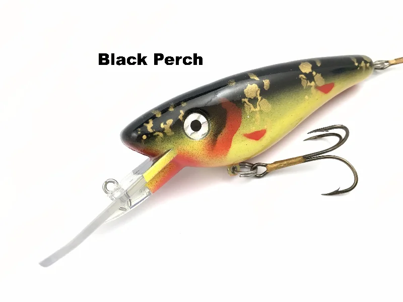 Black Perch*