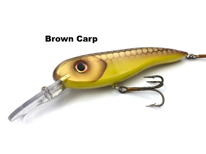 Brown Carp* (TRO Exclusive)