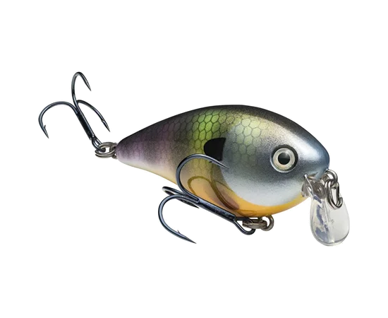 Neon Bluegill