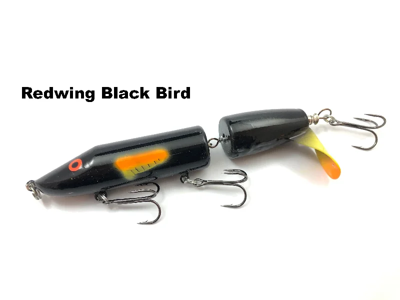 Redwing Black Bird