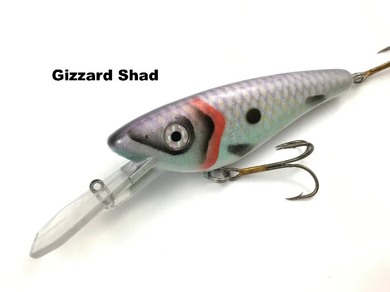 Gizzard Shad