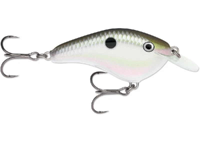 Green Gizzard Shad