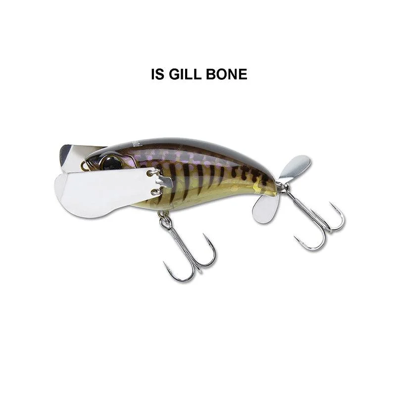 Gill Bone