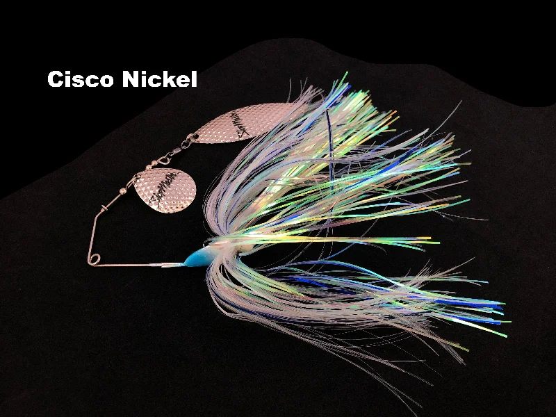 Cisco Nickel