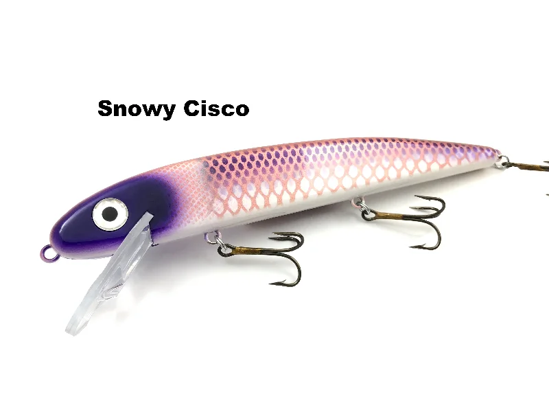 Snowy Cisco (TRO Exclusive)