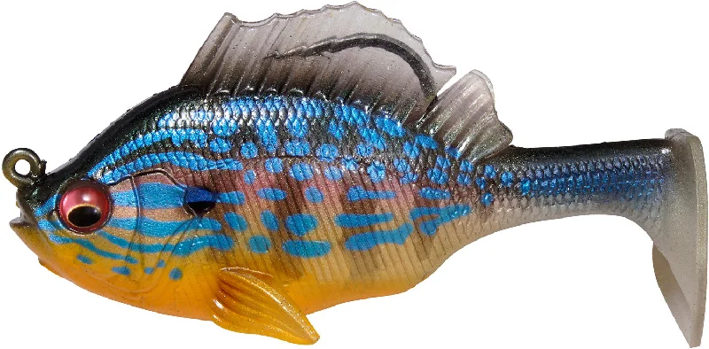 Cichlid