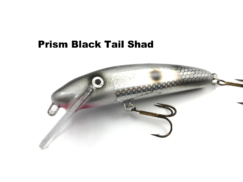 Prism Black Tail Shad (TRO Exclusive)