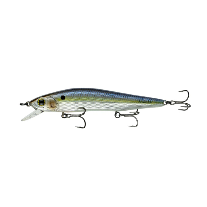 Chrome Threadfin