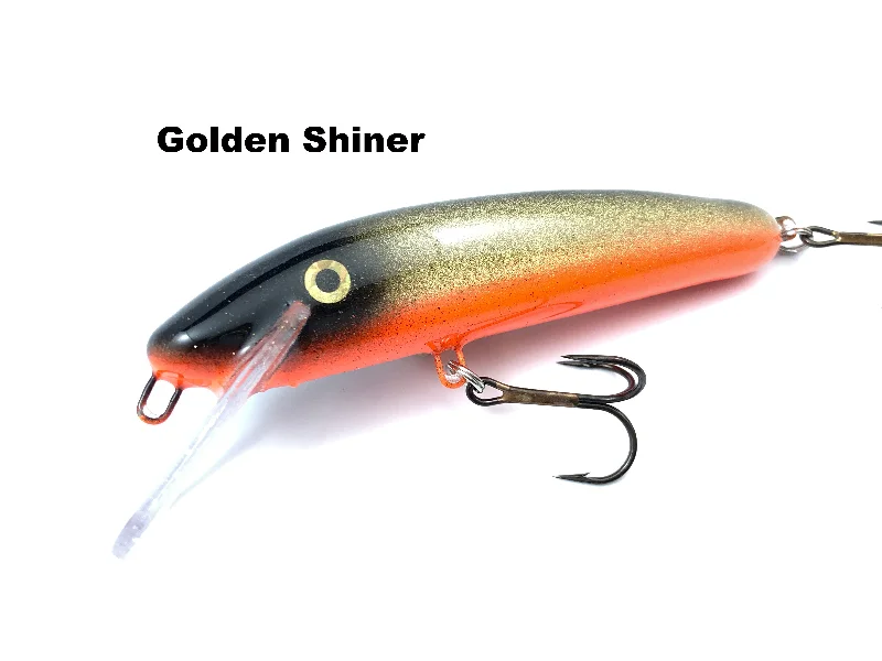 Golden Shiner