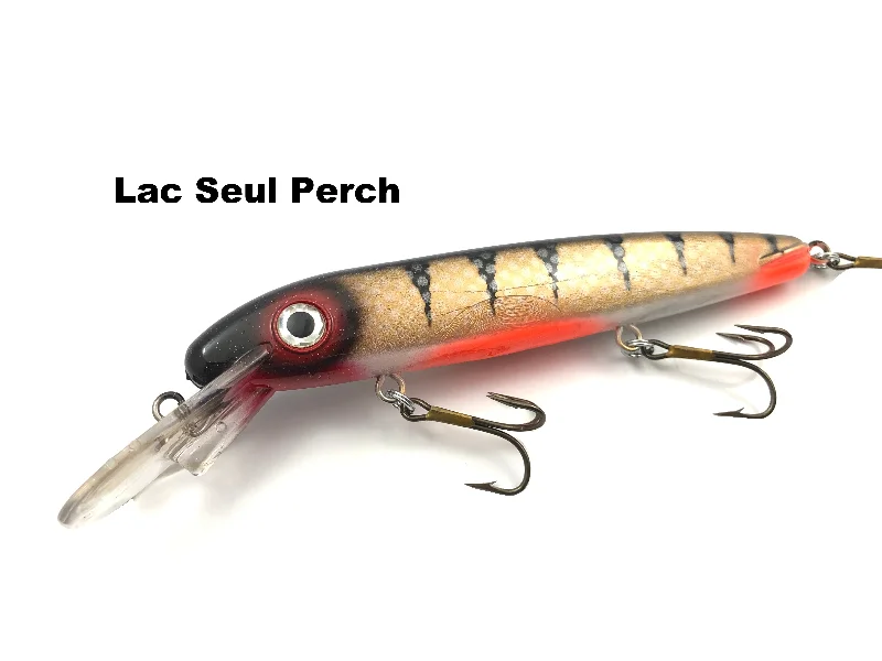 Lac Seul Perch (TRO Exclusive)