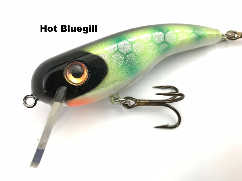 Hot Bluegill* (TRO Exclusive)