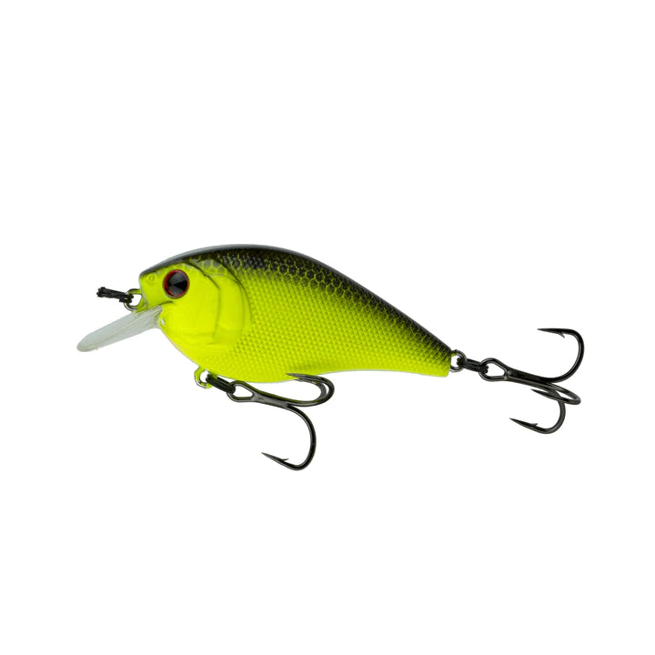 Chartreuse Black Back